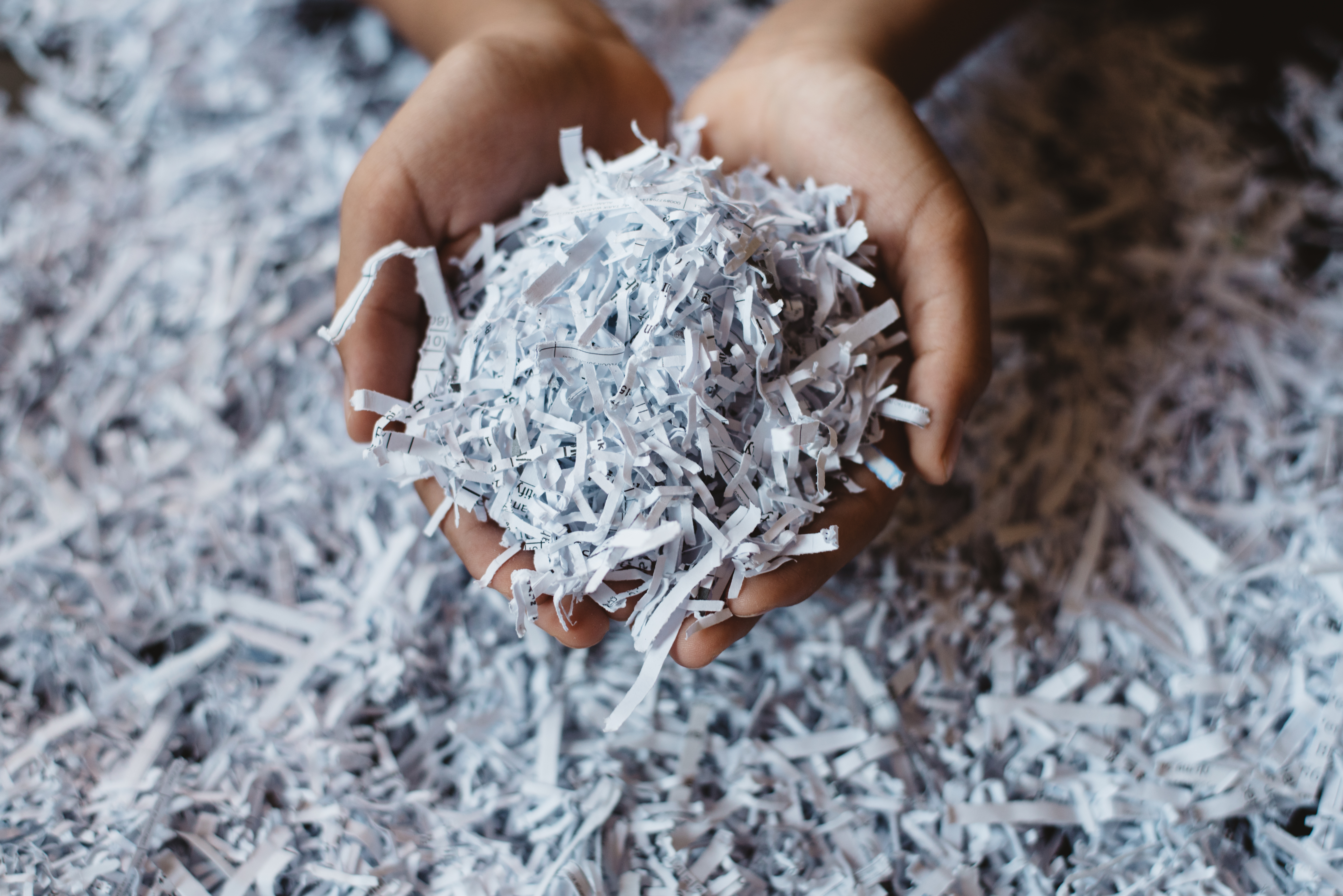 FCFCU Shred Day